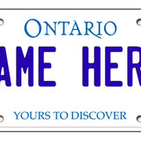 Personalized Custom License Plate for Kids Car