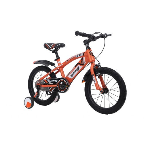 Kids 16in outlet bike